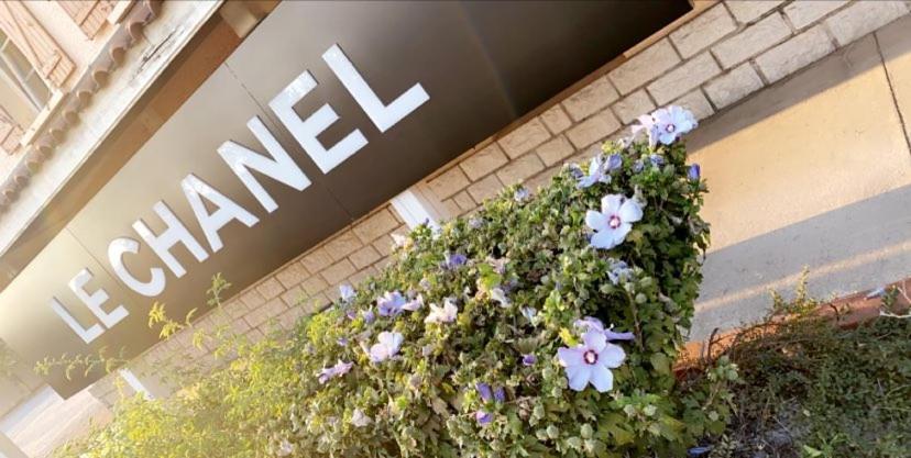 Villieu Hotel Restaurant Le Chanel מראה חיצוני תמונה